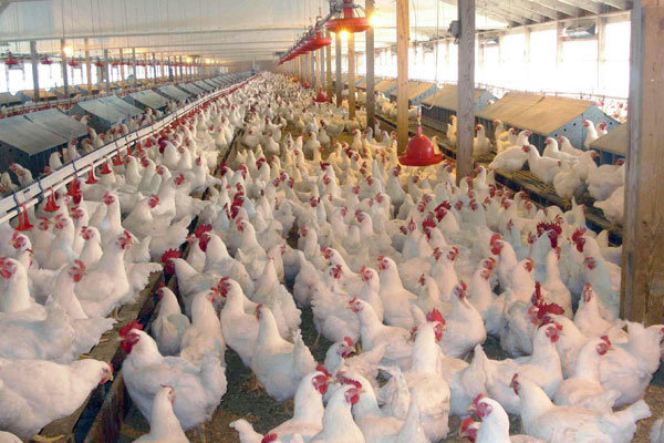 في مستويات الرطوبة المنخفضة، وسيتم تحقيق الرطوبة عن طريق الفيضانات الجهاز