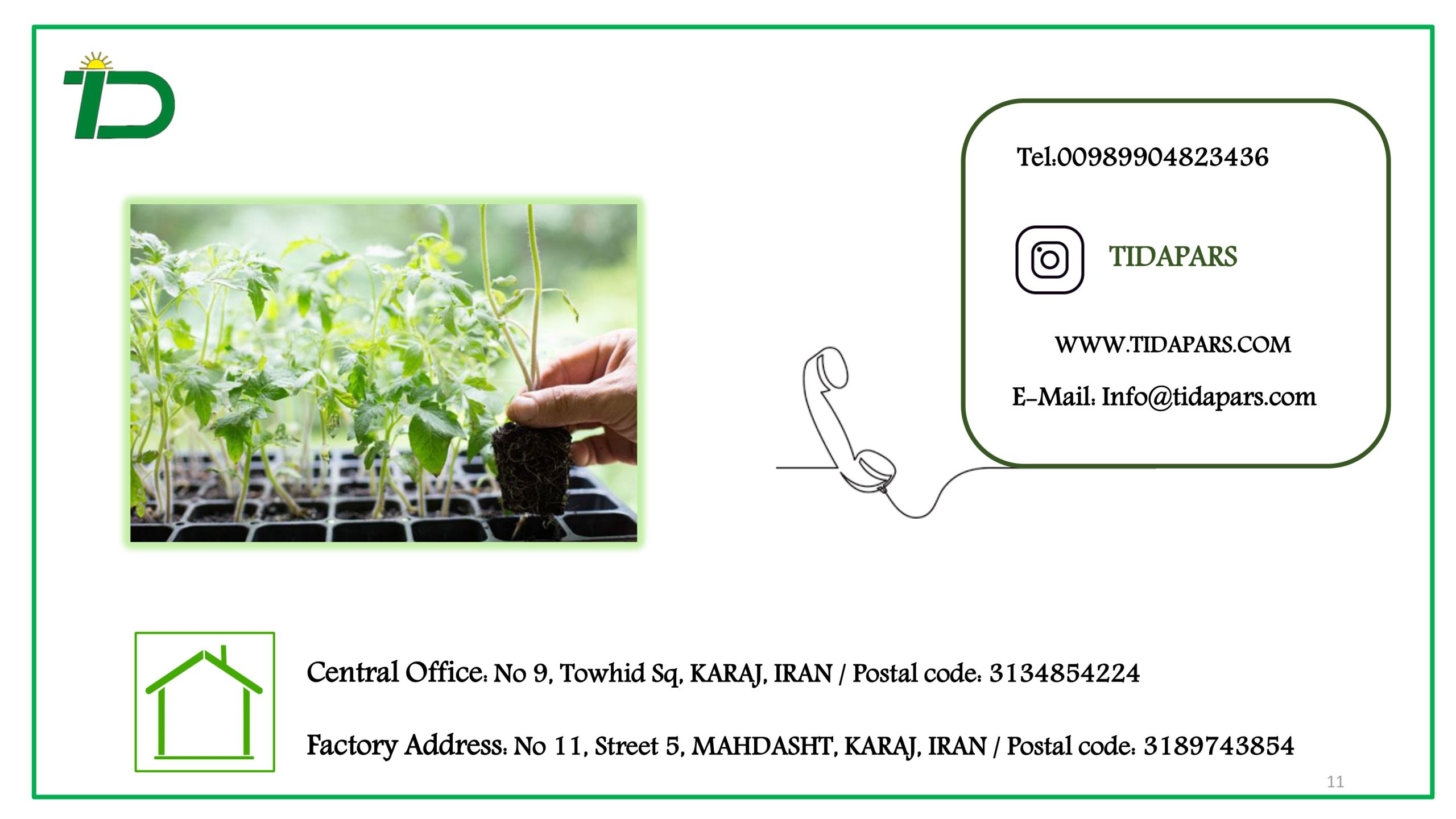 mechanization-of-medicinal-plants