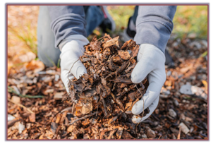 Two Types of Mulch