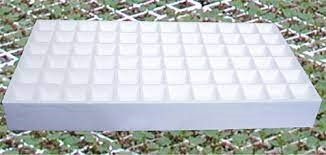 Fig.6 – Styrofoam culture trays