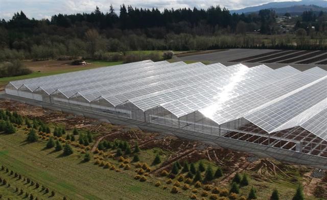 Fig6. Gable roof greenhouses