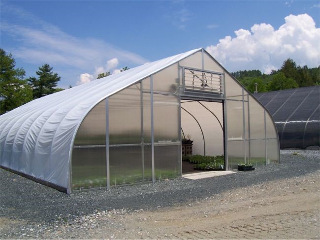 Fig7. Gothic greenhouses