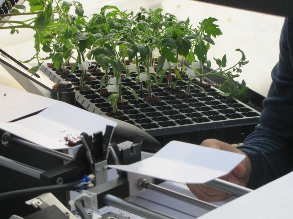Figure9. Transplant- transplant grafting robot