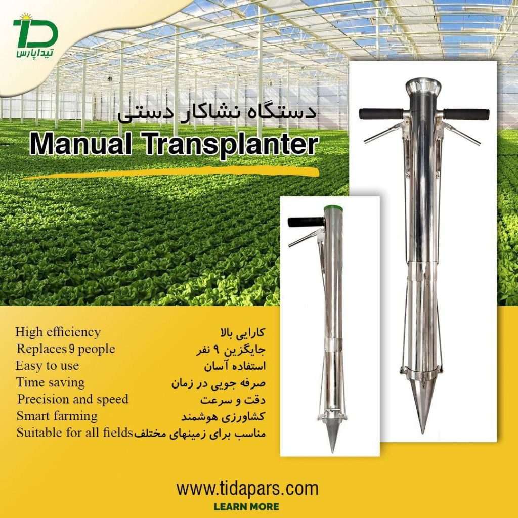 Seedling transplanter