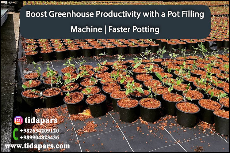 Boost Greenhouse Productivity with a Pot Filling Machine Faster Potting