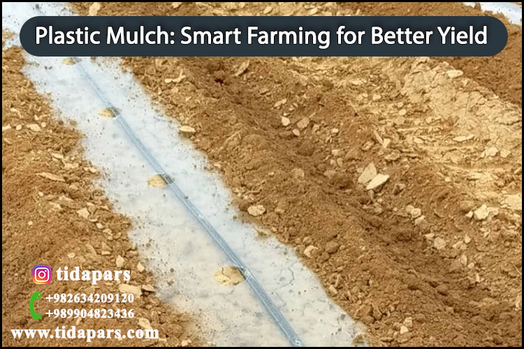 Plastic Mulch Smart Farming for Better Yield