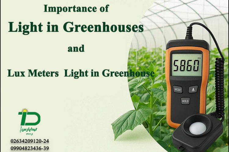 Importance of Light in Greenhouses and Lux Meters Light in Greenhouse