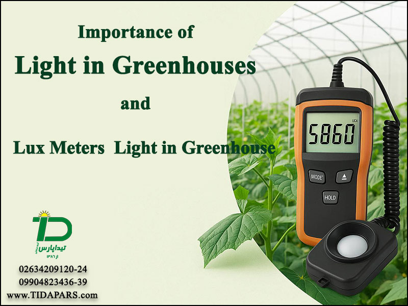Importance of Light in Greenhouses and Lux Meters Light in Greenhouse