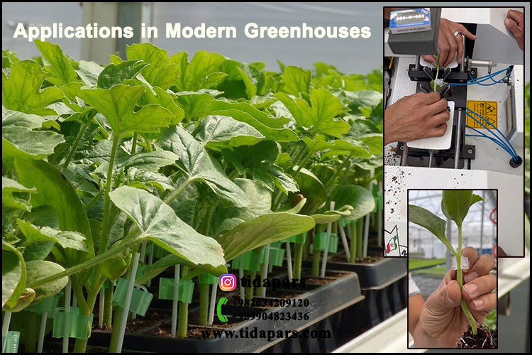 Applications in Modern Greenhouses