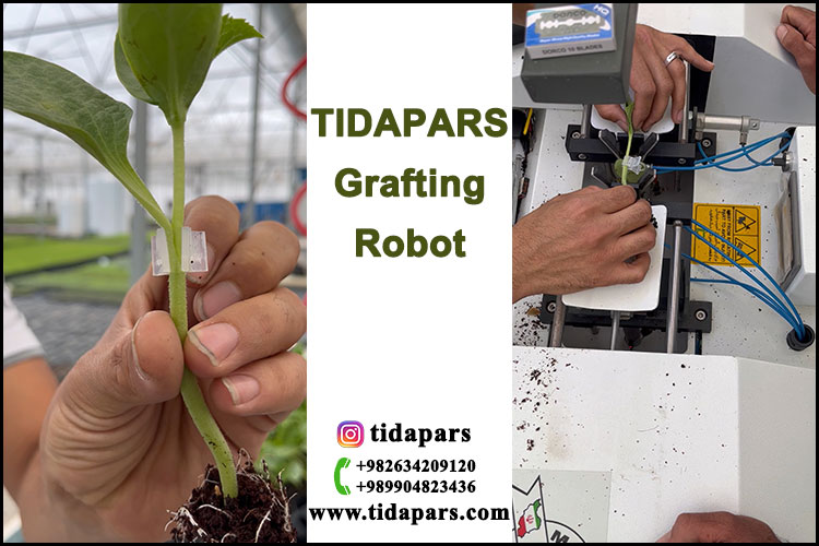 TIDAPARS Grafting Robot