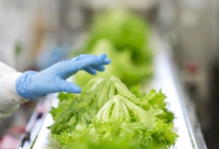 چرا دستگاه بسته بندی تیداپارس را برای خرید انتخاب کنیم؟