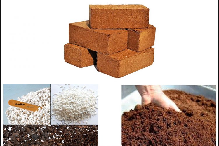 معرفی-انواع-بستر-کشت-برای-گلخانه