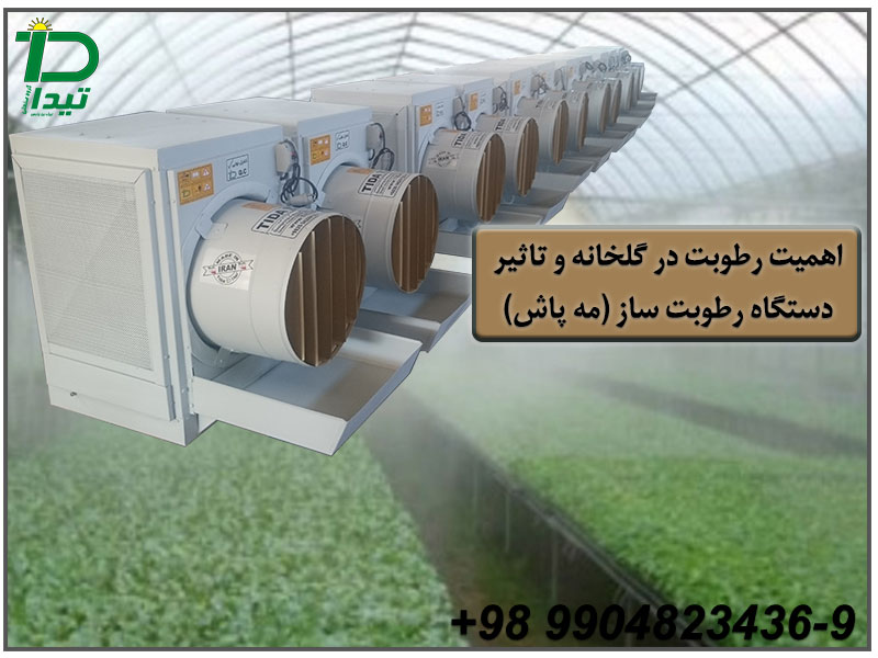 میزان نیاز گیاهان به رطوبت و ضرورت استفاده از دستگاه رطوبت ساز در گلخانه ها