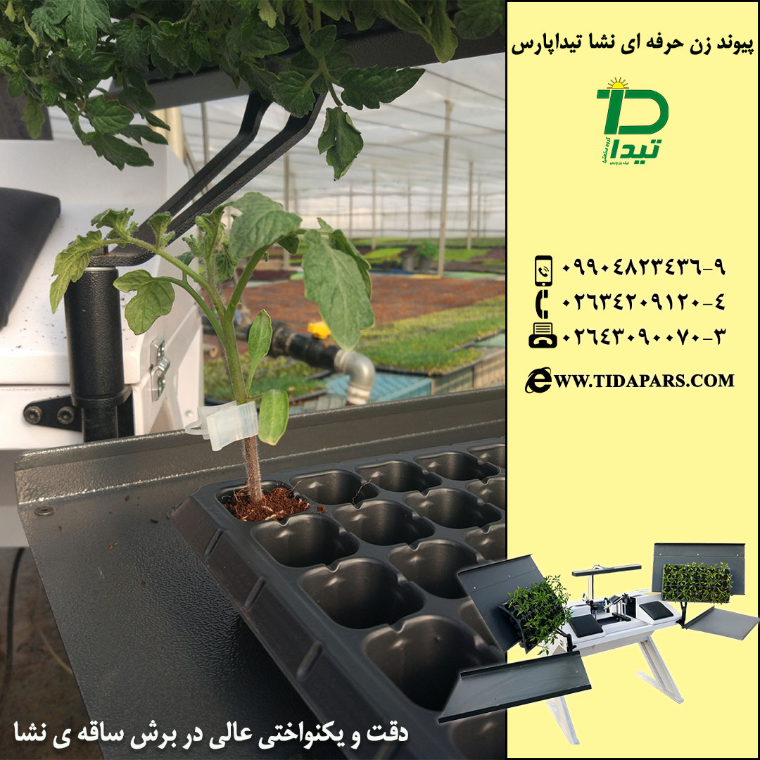 ضرورت پیوند زدن نشاء با ماشین پیوندزن