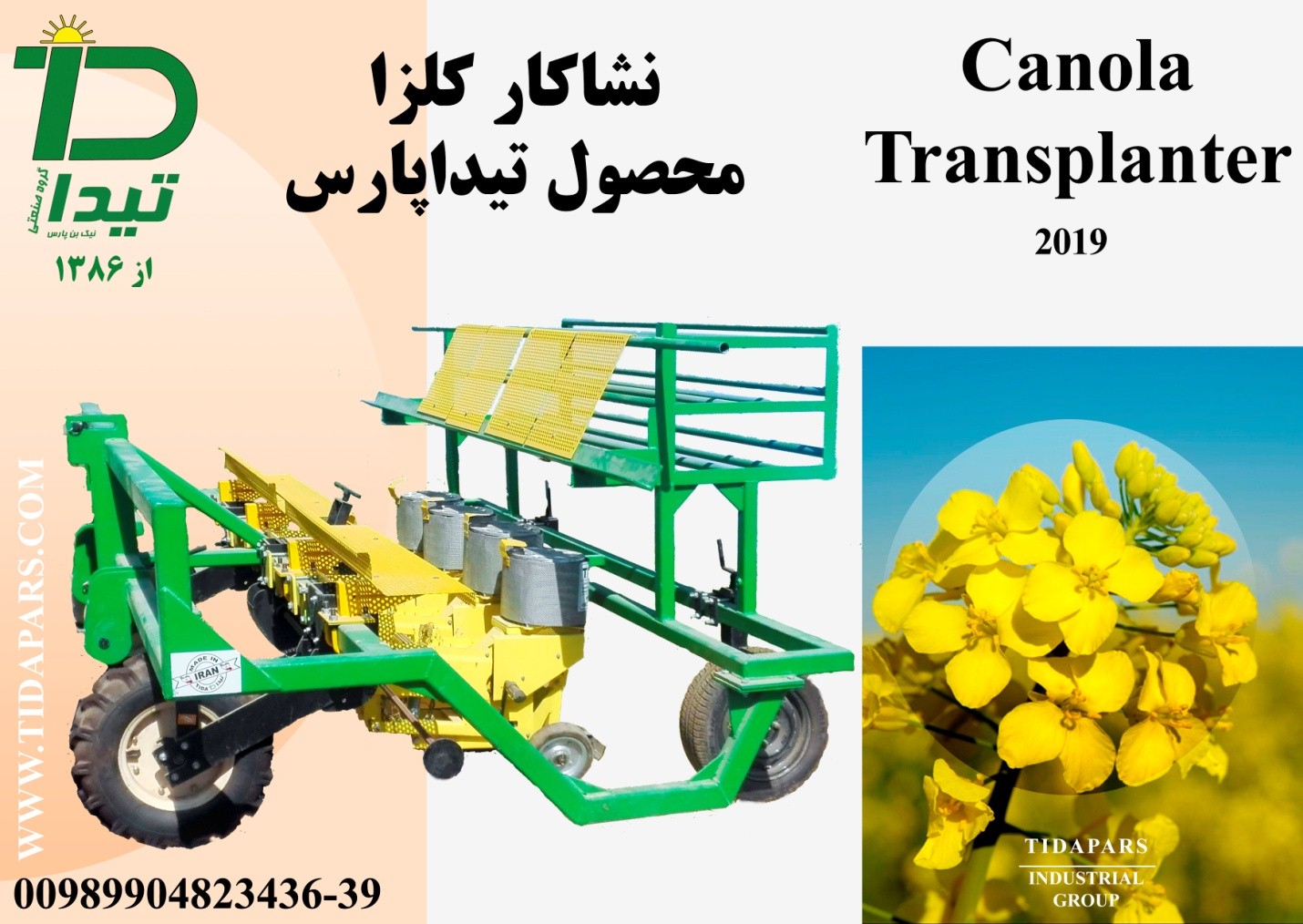 مزایای کاشت کلزا به روش نشاکاری چیست؟