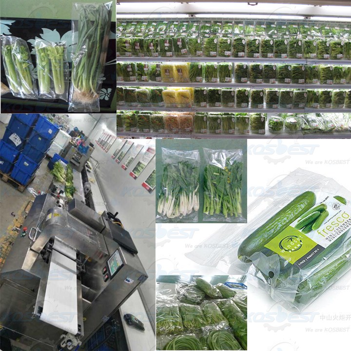 مشخصات دستگاه بسته بندی محصولات کشاورزی تیداپارس