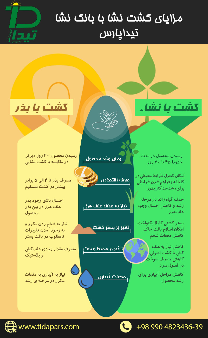 چرا-از-سیدر-یا-همان-بذرکار-سینی-نشا-تیداپارس-برای-کشت-نشا-استفاده-کنیم؟