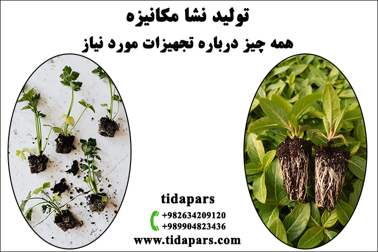 تولید نشا مکانیزه ، همه چیز درباره تجهیزات مورد نیاز