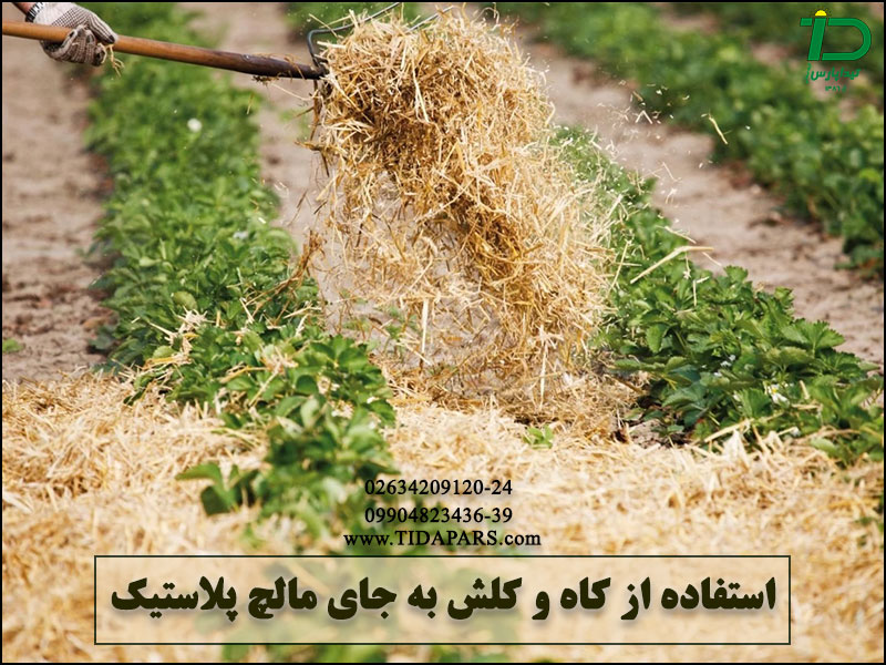 استفاده از کاه و کلش به جای مالچ پلاستیک