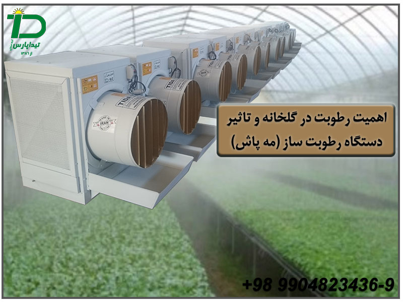 اهمیت رطوبت در گلخانه