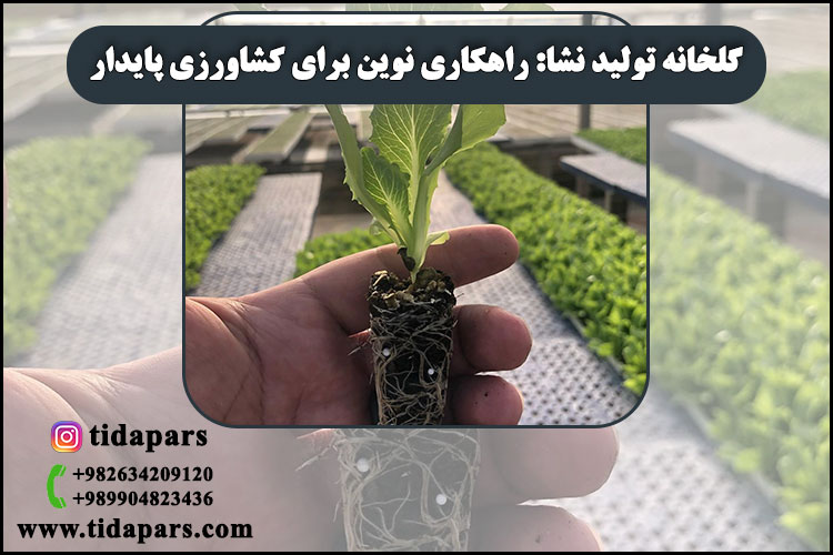 گلخانه تولید نشا راهکاری نوین برای کشاورزی پایدار
