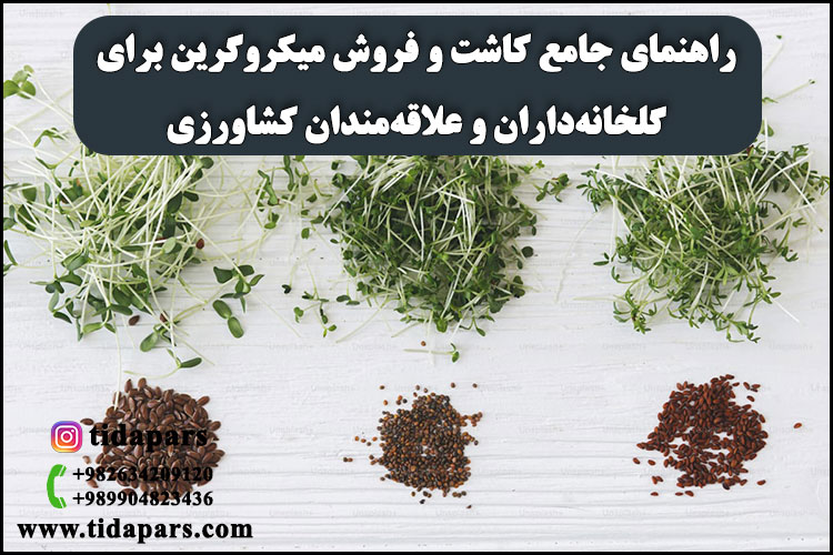 راهنمای جامع کاشت و فروش میکروگرین برای گلخانه‌داران و علاقه‌مندان کشاورزی نوین