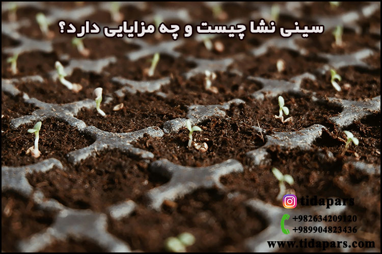 سینی نشا چیست و چه مزایایی دارد؟