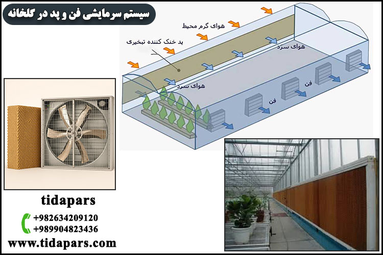 سیستم سرمایشی فن و پدر در گلخانه