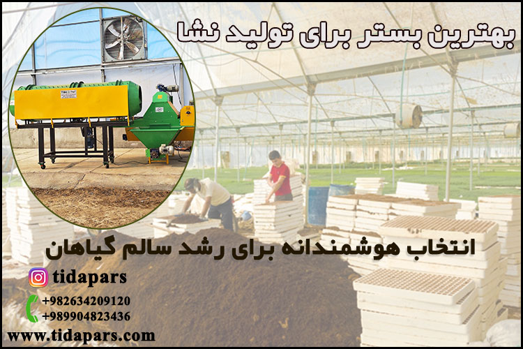 بهترین بستر برای تولید نشا انتخاب هوشمندانه برای رشد سالم گیاهان