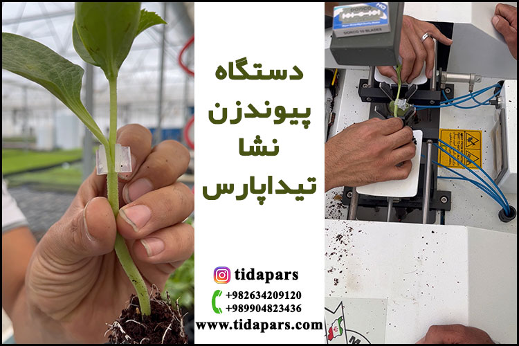 دستگاه پیوندزن نشا تیداپارس