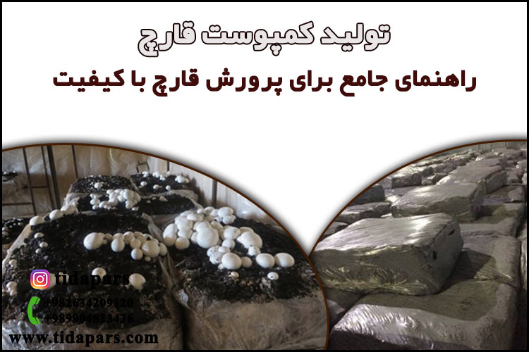 راهنمای جامع برای پرورش قارچ با کیفیت