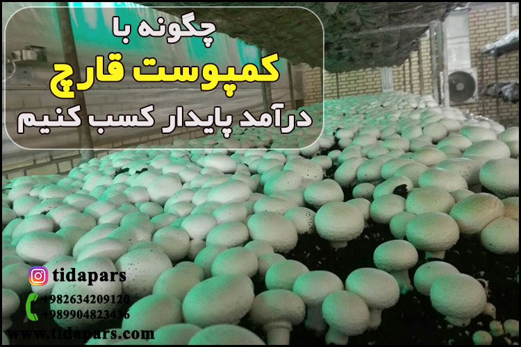 چگونه با کمپوست قارچ درآمد پایدار کسب کنیم