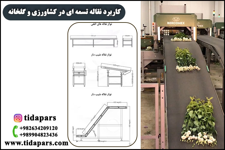 کاربرد نقاله تسمه ای در کشاورزی و گلخانه