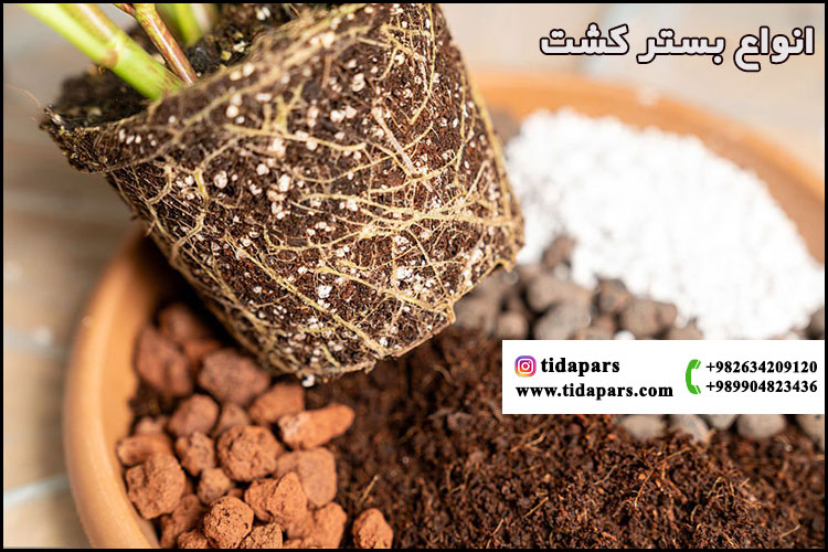 انواع بستر کشت