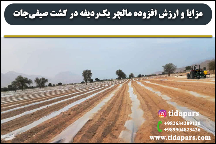 مزایا و ارزش افزوده مالچر یک‌ردیفه در کشت صیفی‌جات