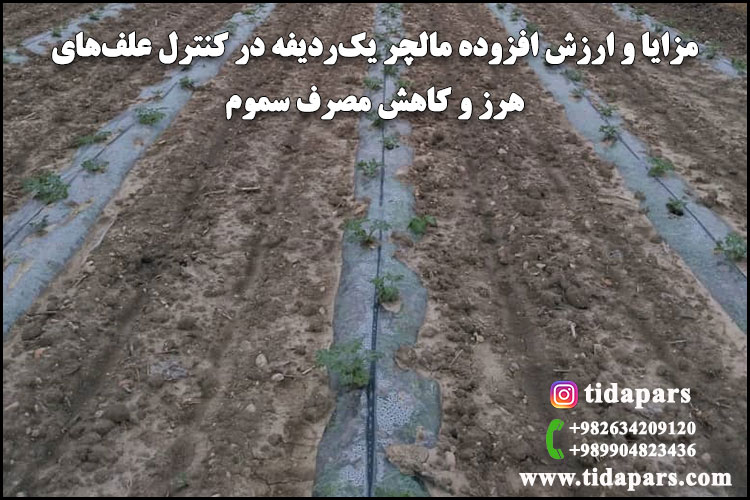 مزایا و ارزش افزوده مالچر یک‌ردیفه در کنترل علف‌های هرز و کاهش مصرف سموم