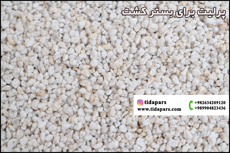 پرلیت برای بستر کشت