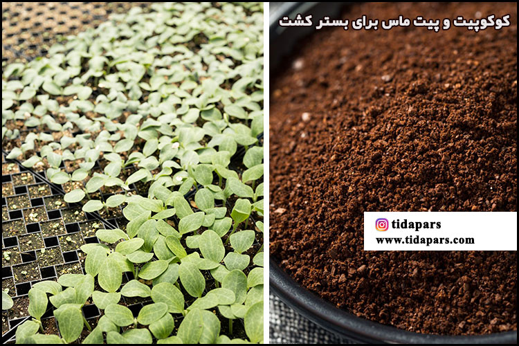 کوکوپیت و پیت ماس برای بستر کشت