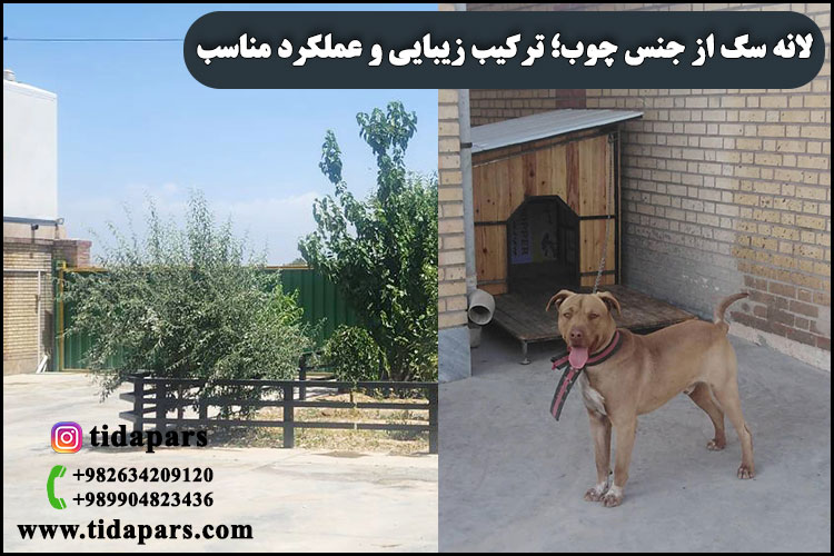 لانه سگ از جنس چوب؛ ترکیب زیبایی و عملکرد مناسب
