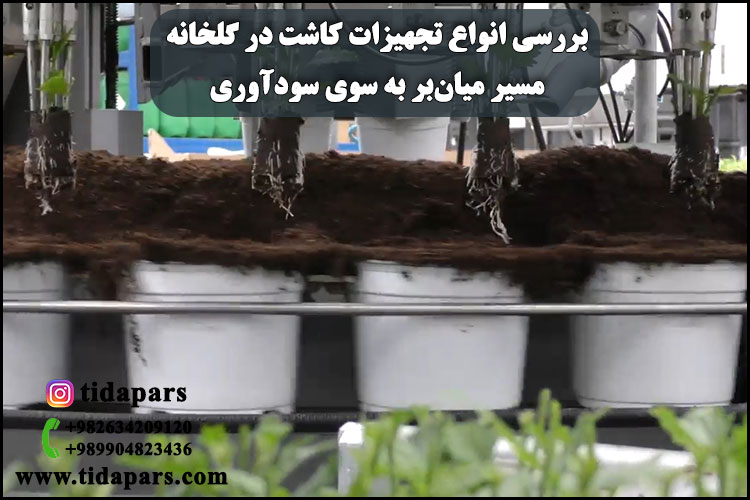 بررسی انواع تجهیزات کاشت در گلخانه؛ مسیر میان‌بر به سوی سودآوری